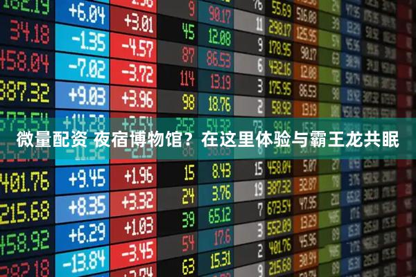微量配资 夜宿博物馆？在这里体验与霸王龙共眠