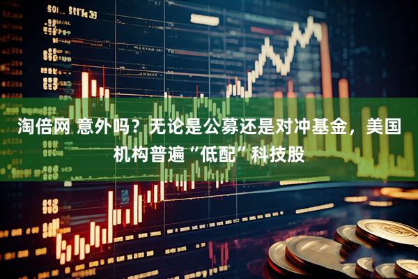 淘倍网 意外吗？无论是公募还是对冲基金，美国机构普遍“低配”科技股