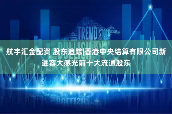 航宇汇金配资 股东追踪|香港中央结算有限公司新进容大感光前十大流通股东