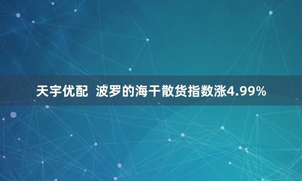 天宇优配  波罗的海干散货指数涨4.99%
